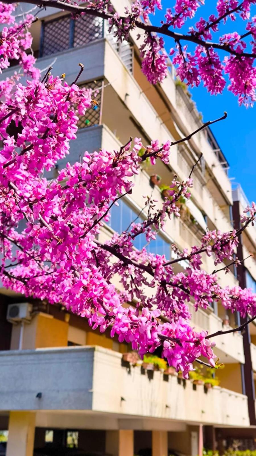 Rome Sweet Home Vitinia Buitenkant foto