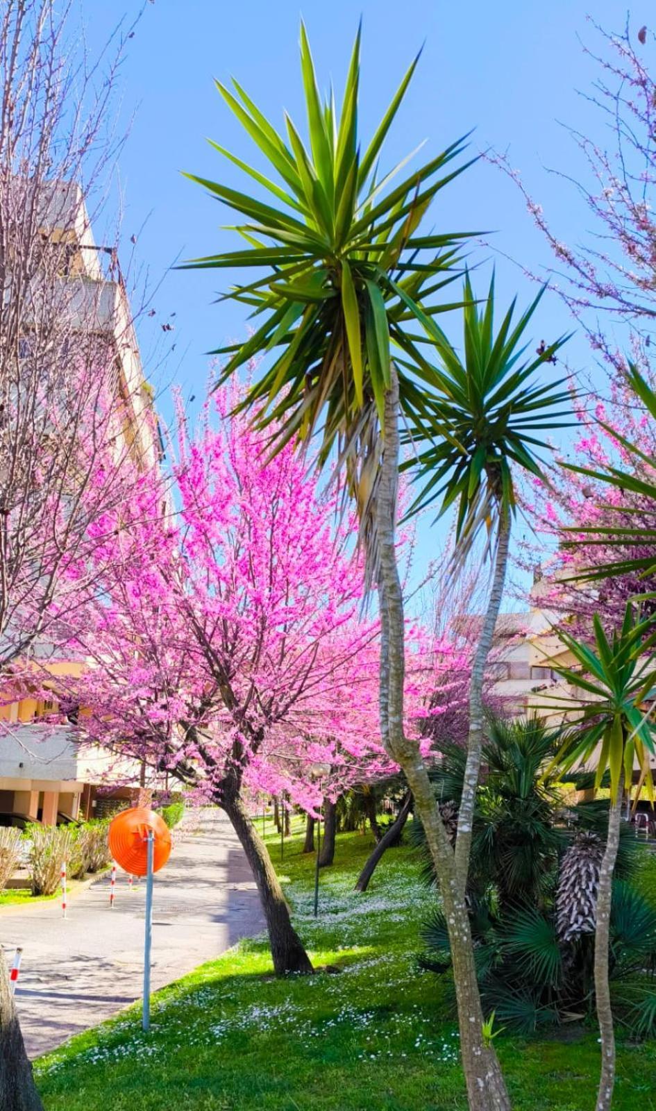 Rome Sweet Home Vitinia Buitenkant foto