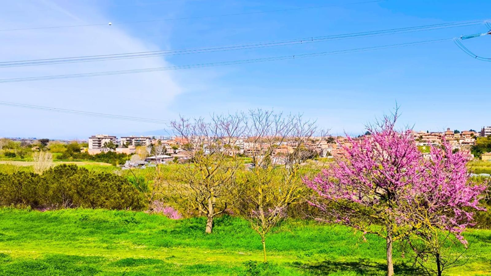 Rome Sweet Home Vitinia Buitenkant foto